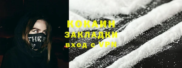 шишки Богданович