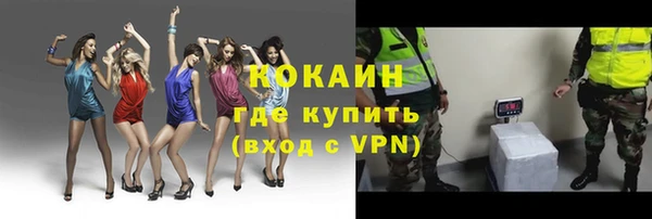 шишки Богданович