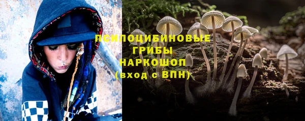мяу мяу мука Богородицк