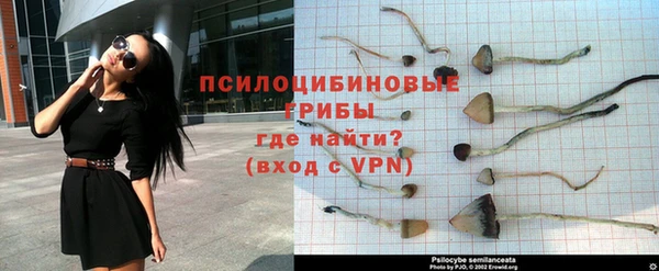 MDMA Premium VHQ Сосновка
