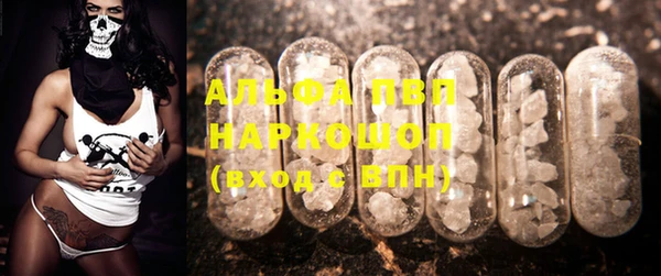 шишки Богданович